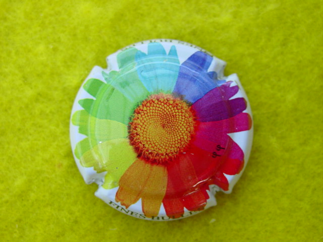 Photo de la capsule