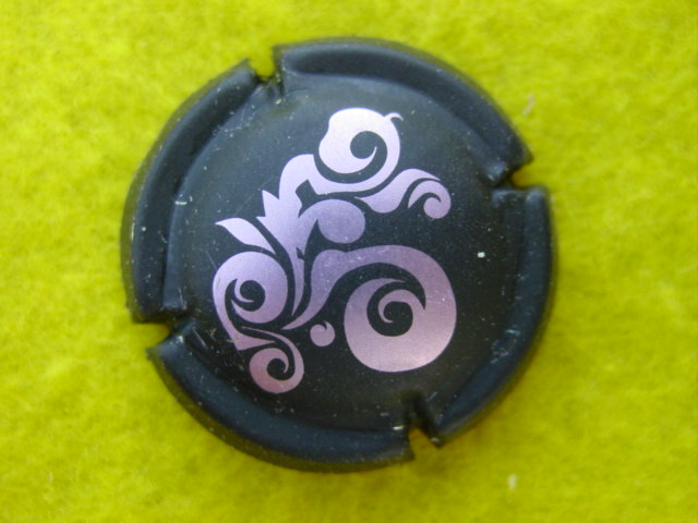Photo de la capsule