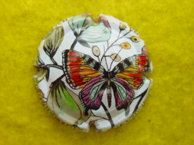 Photo de la capsule