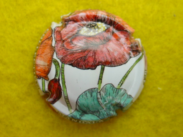 Photo de la capsule