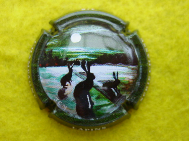 Photo de la capsule