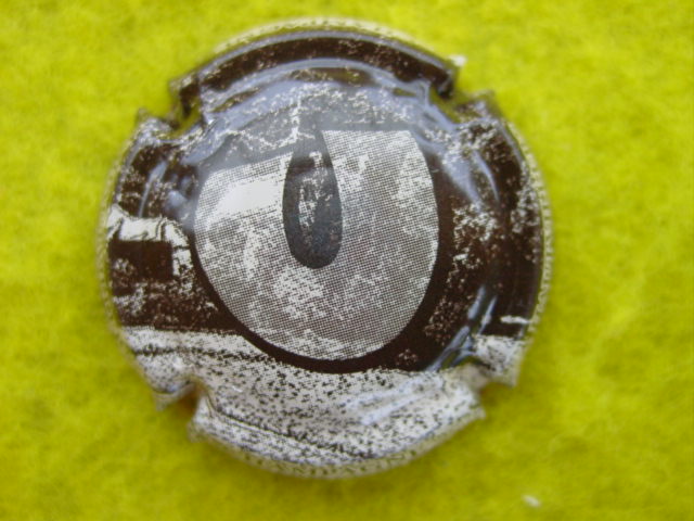 Photo de la capsule