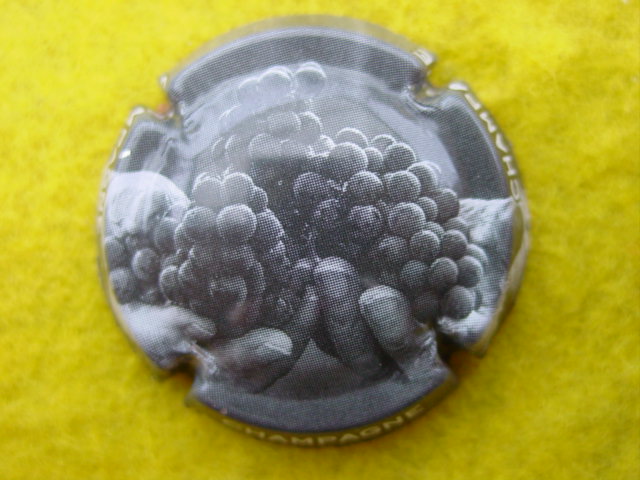 Photo de la capsule