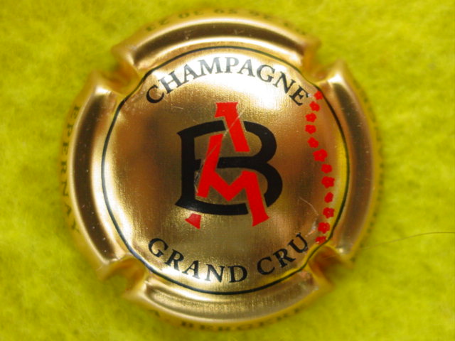 Photo de la capsule