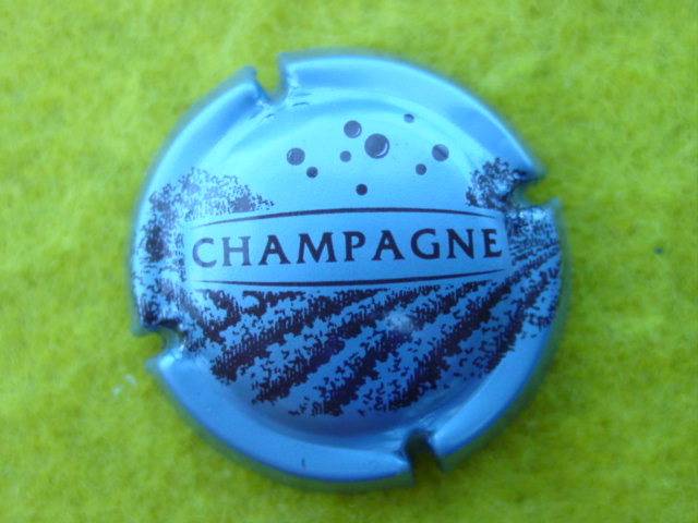 Photo de la capsule
