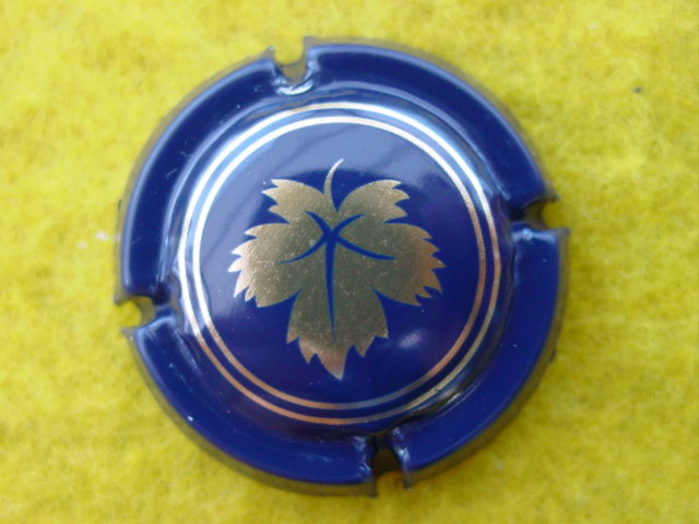 Photo de la capsule