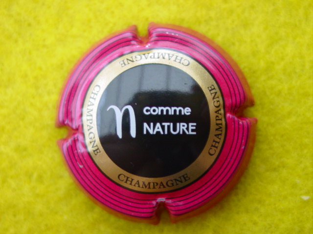 Photo de la capsule