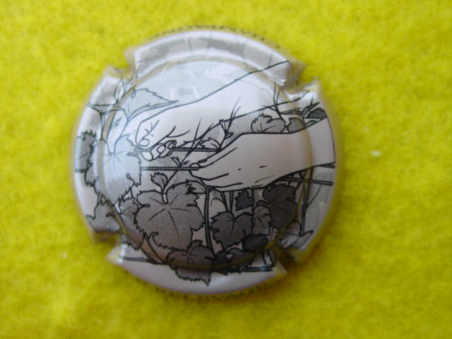 Photo de la capsule