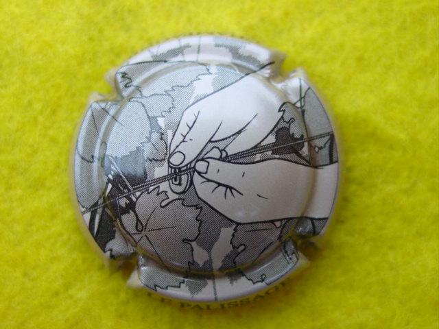 Photo de la capsule
