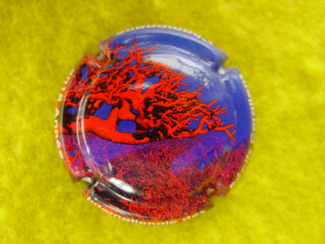 Photo de la capsule
