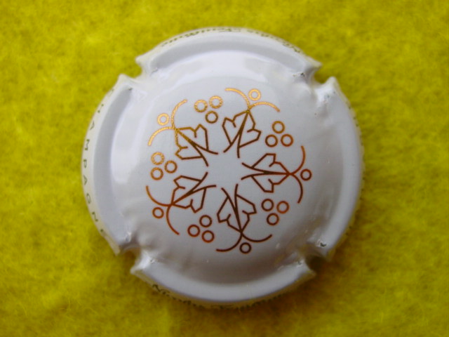 Photo de la capsule