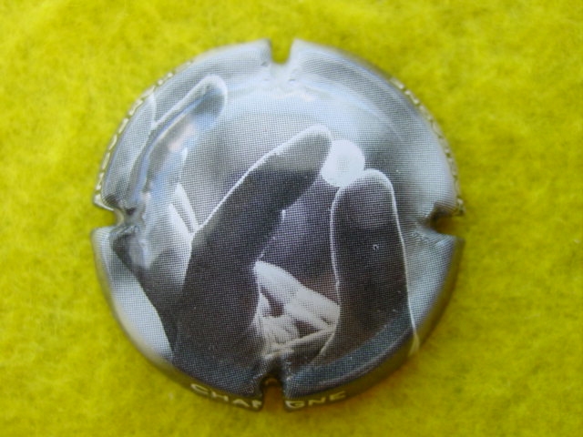 Photo de la capsule