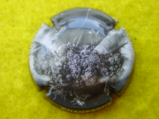Photo de la capsule