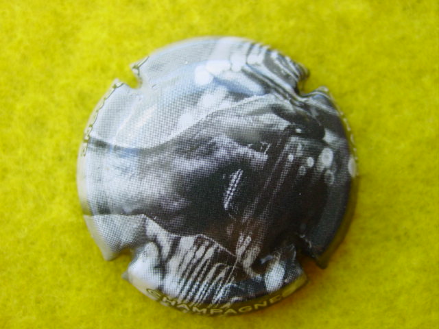 Photo de la capsule