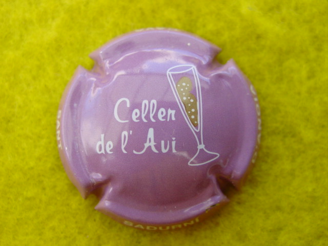 Photo de la capsule