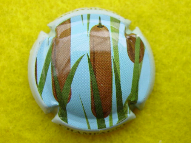 Photo de la capsule