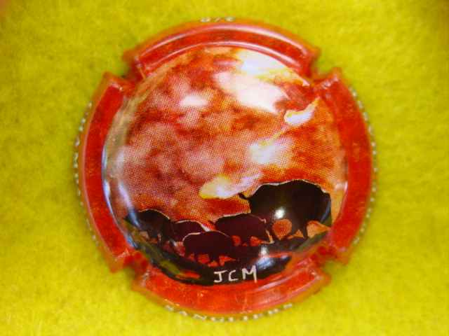 Photo de la capsule