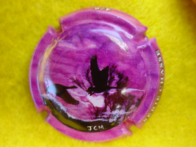 Photo de la capsule
