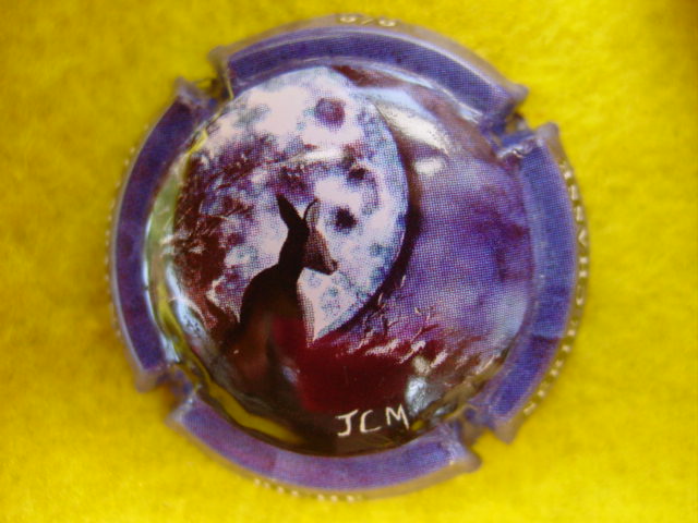 Photo de la capsule