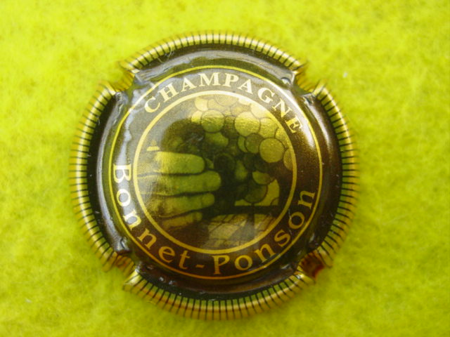 Photo de la capsule