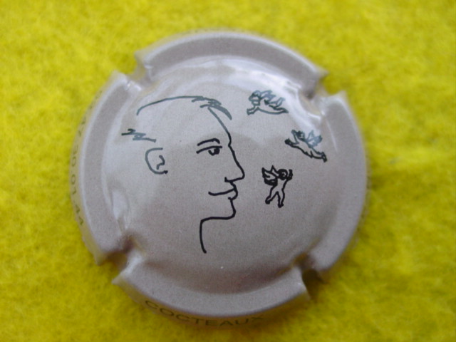 Photo de la capsule