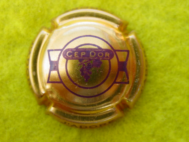 Photo de la capsule