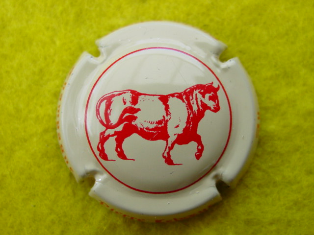 Photo de la capsule