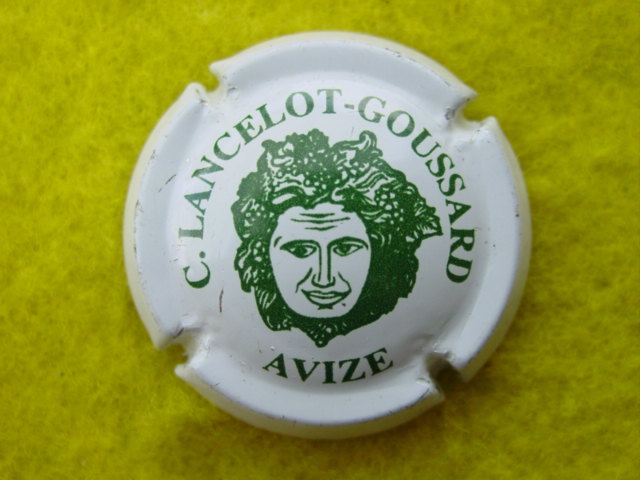 Photo de la capsule