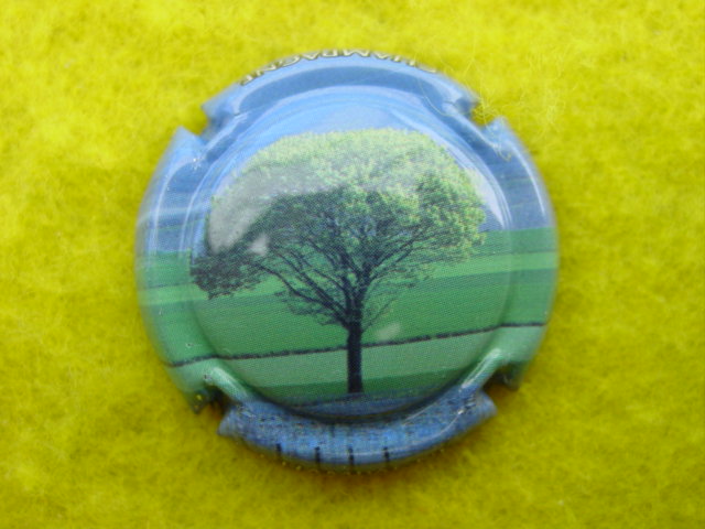 Photo de la capsule