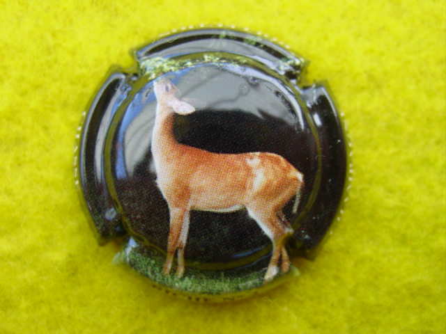 Photo de la capsule