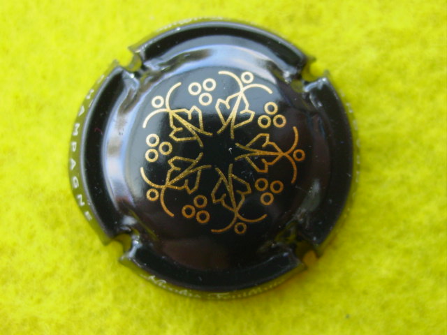 Photo de la capsule