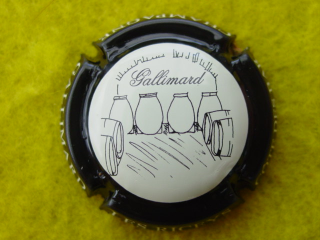 Photo de la capsule