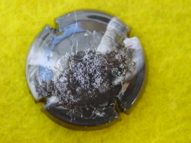 Photo de la capsule