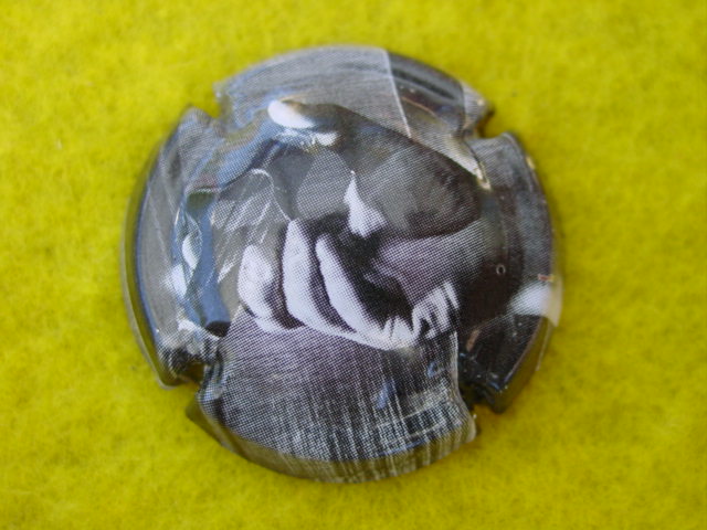 Photo de la capsule