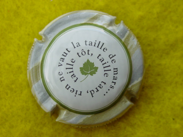 Photo de la capsule