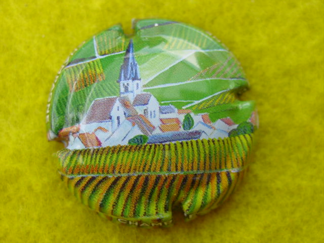 Photo de la capsule