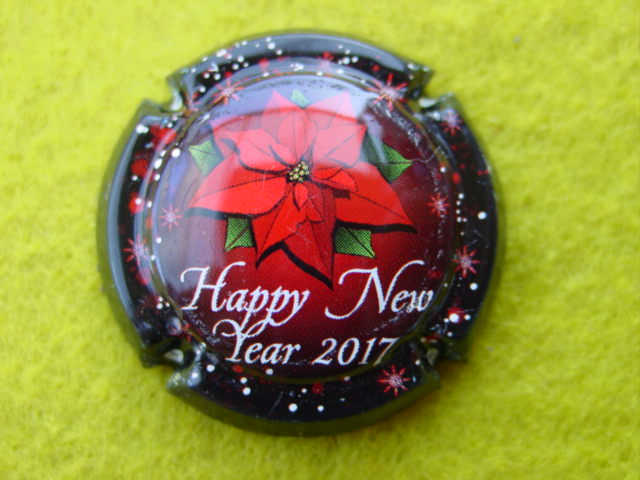 Photo de la capsule
