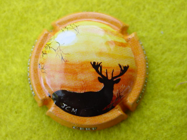 Photo de la capsule