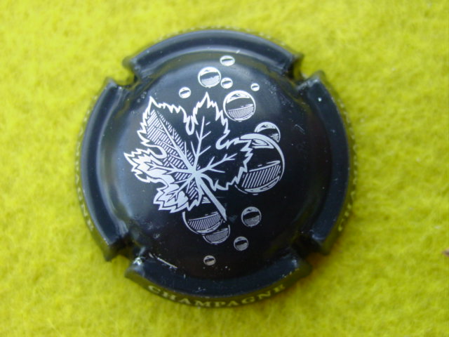 Photo de la capsule