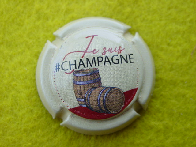 Photo de la capsule