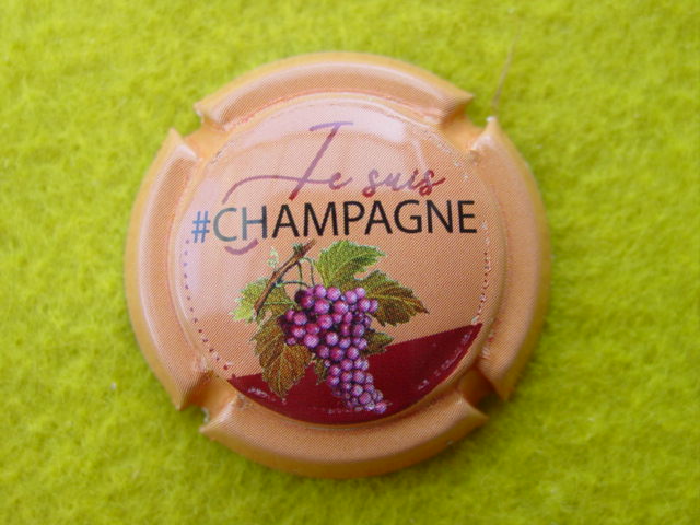 Photo de la capsule