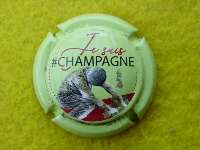Photo de la capsule