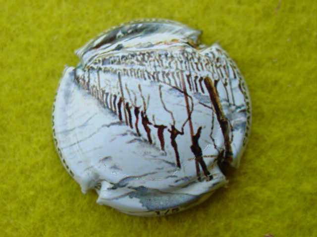 Photo de la capsule