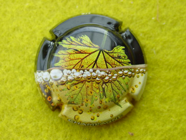 Photo de la capsule