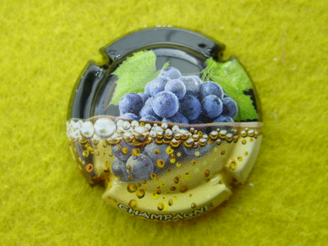 Photo de la capsule