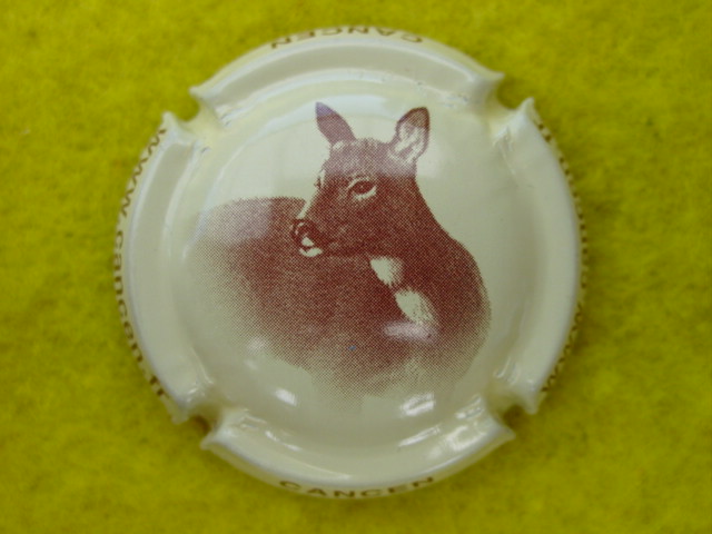 Photo de la capsule