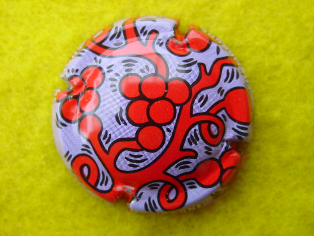 Photo de la capsule