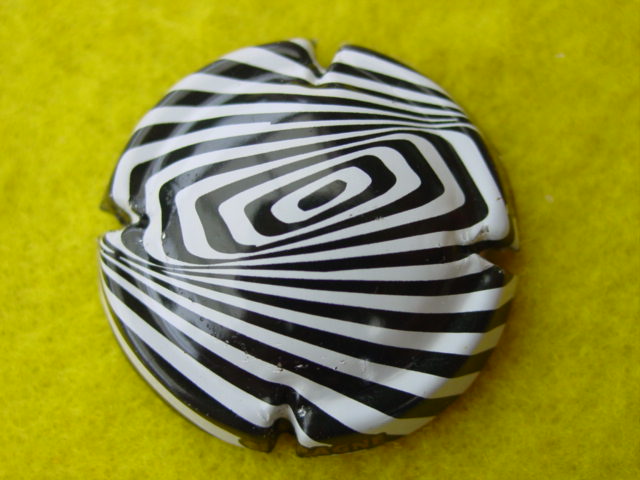 Photo de la capsule
