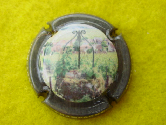 Photo de la capsule