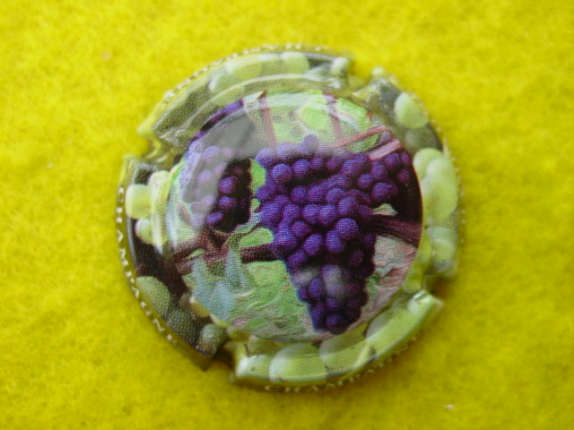 Photo de la capsule